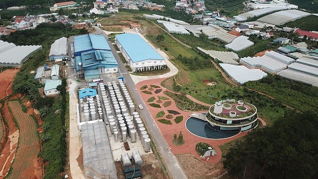 Khám phá hầm vang đỏ chuẩn Châu Âu ở Đà Lạt 1