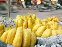 Bài thuốc chữa ho, long đờm từ quả phật thủ
